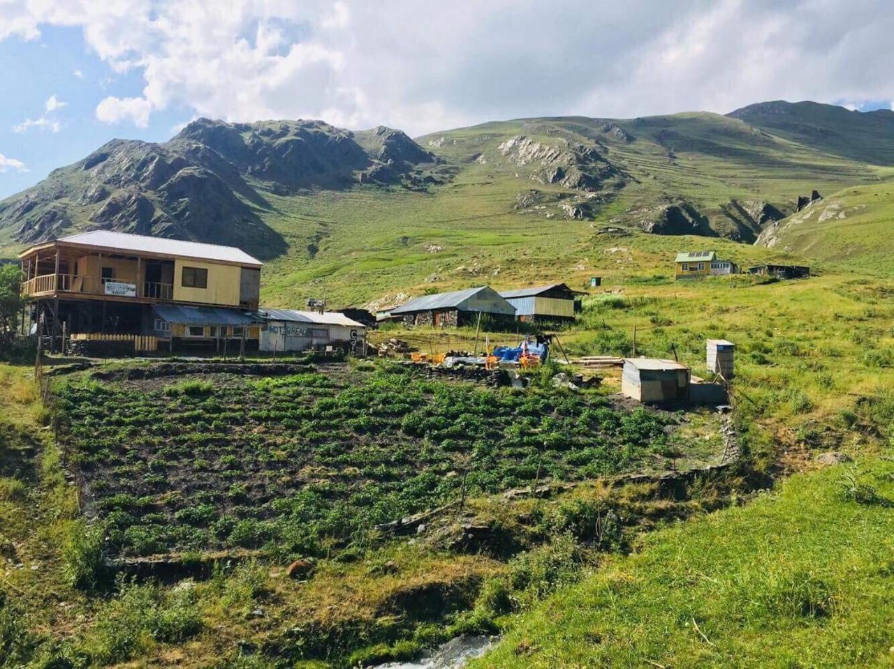 Shio'S Stonehouse In Tusheti Hostel Luaran gambar